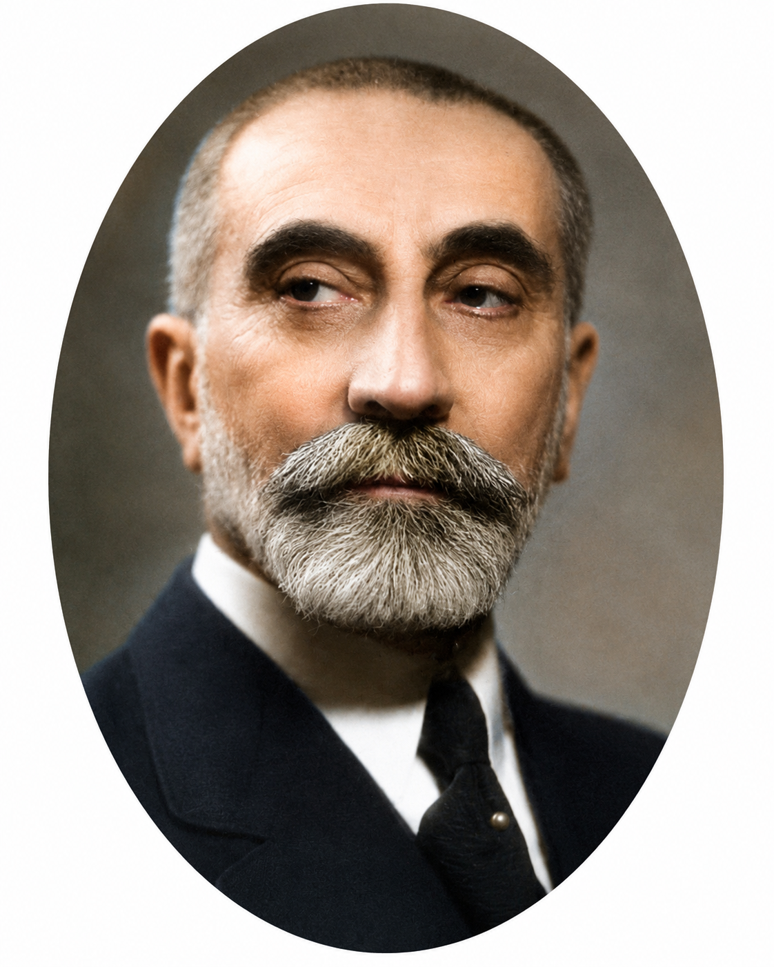 José Bonifácio de Andrada e Silva, o Diplomata